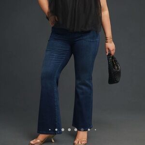Pilcro the icon low rise flare jeans